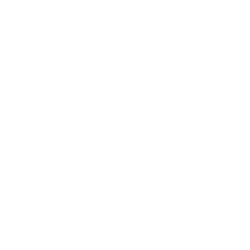 fiat-biale