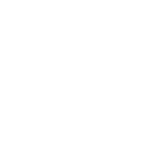 recaro-biale