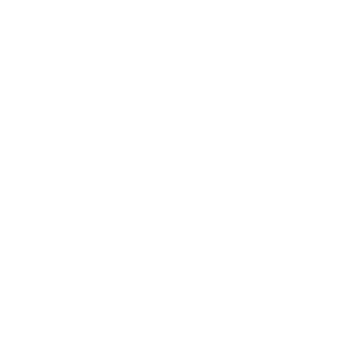 recaro-biale
