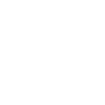 adient-biale