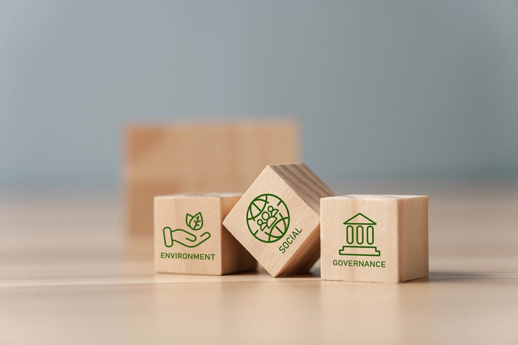 ladrillos de madera con letreros de ESG