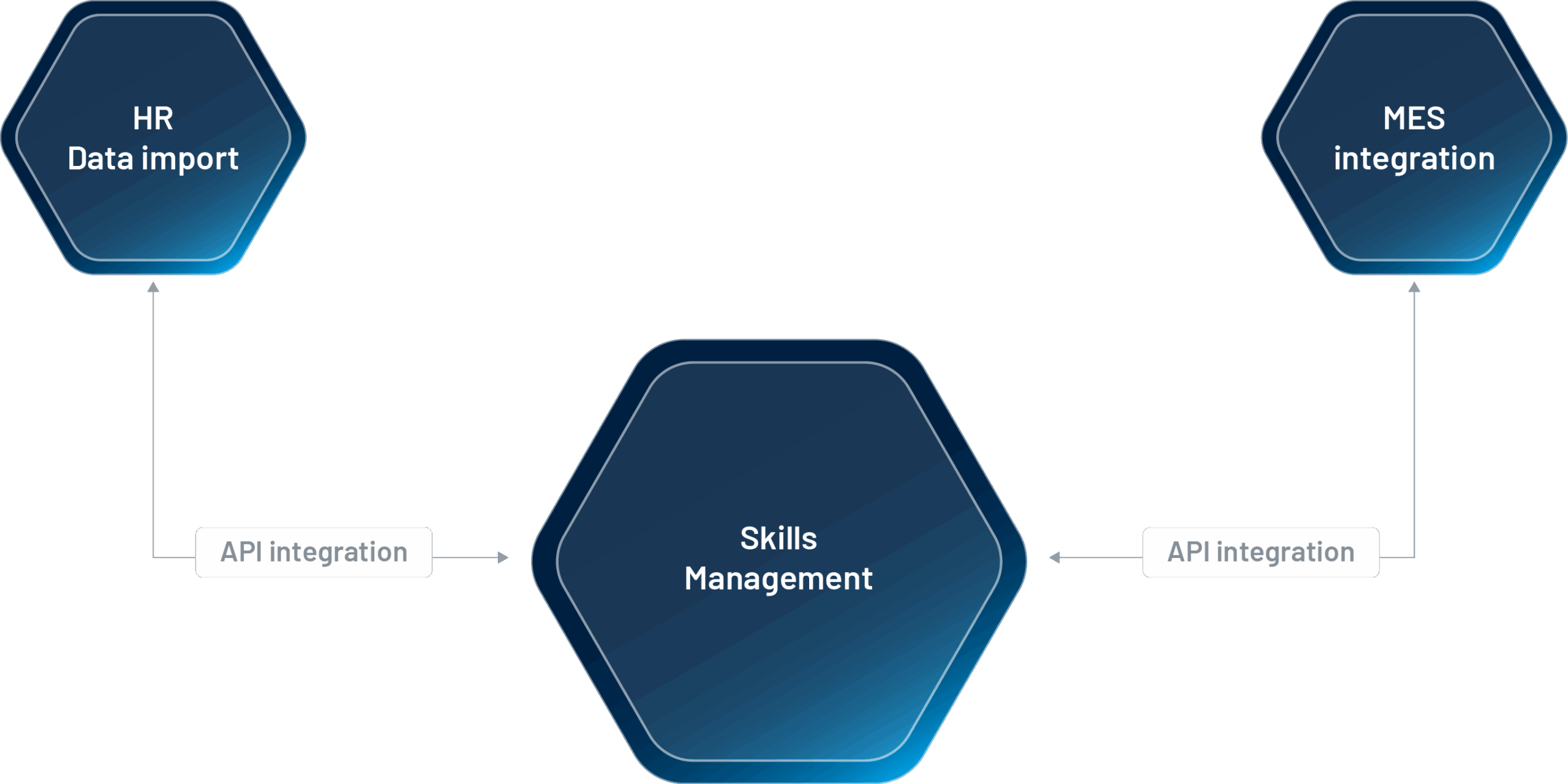 skills mgmt diagram scaled